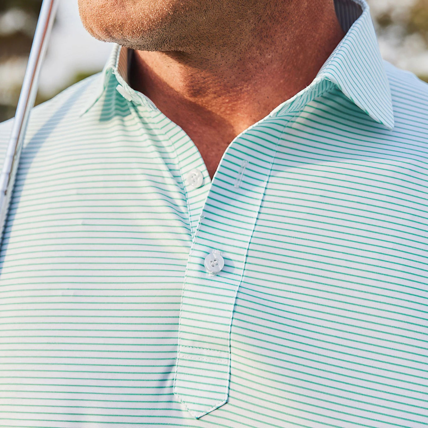 #color_augusta-green-stripe