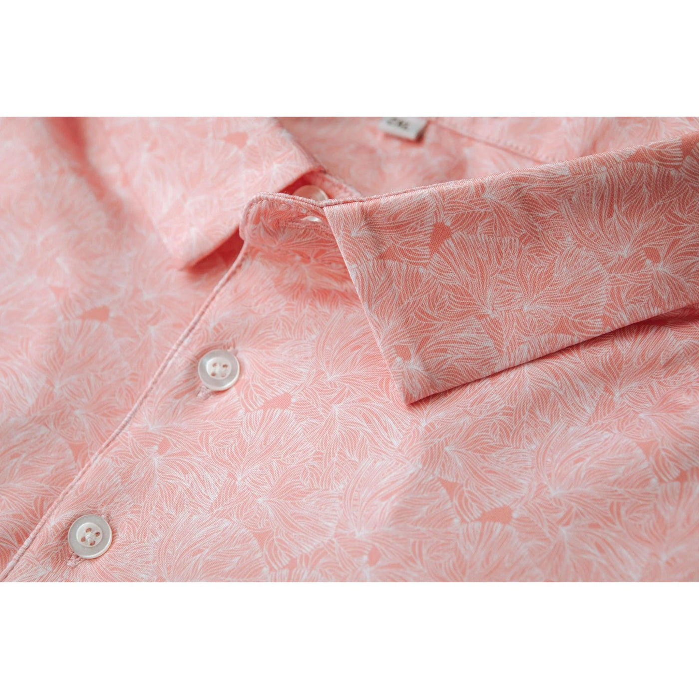 #color_peach-fade