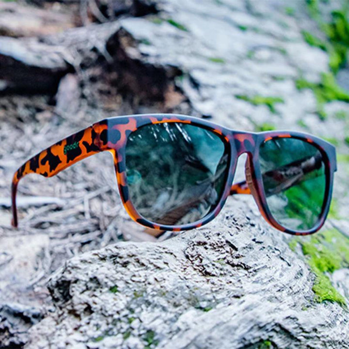 Ninja Kick The Damn Rabbit – Reed's