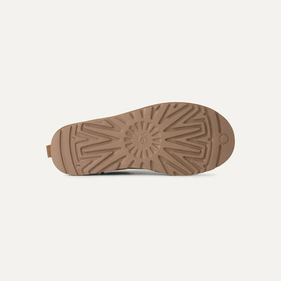 #color_chestnut