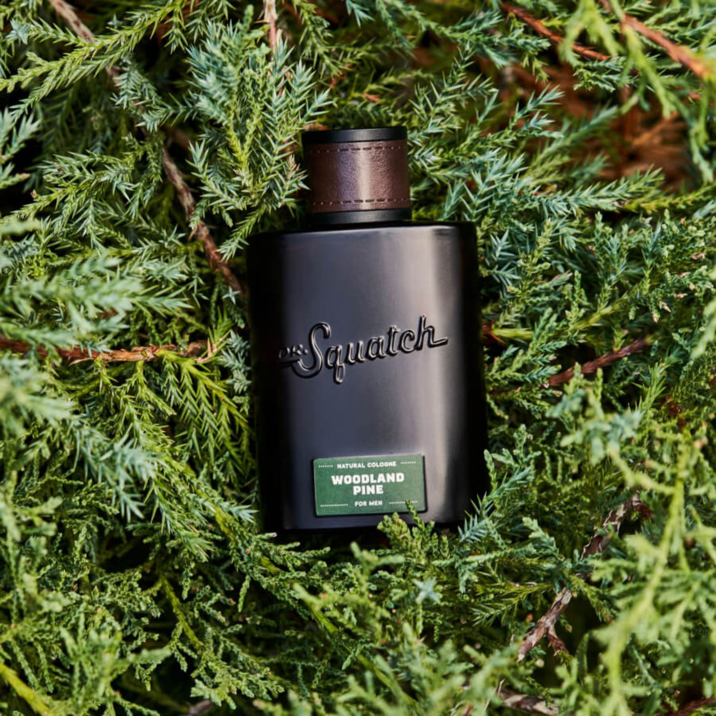 Woodland Pine Cologne