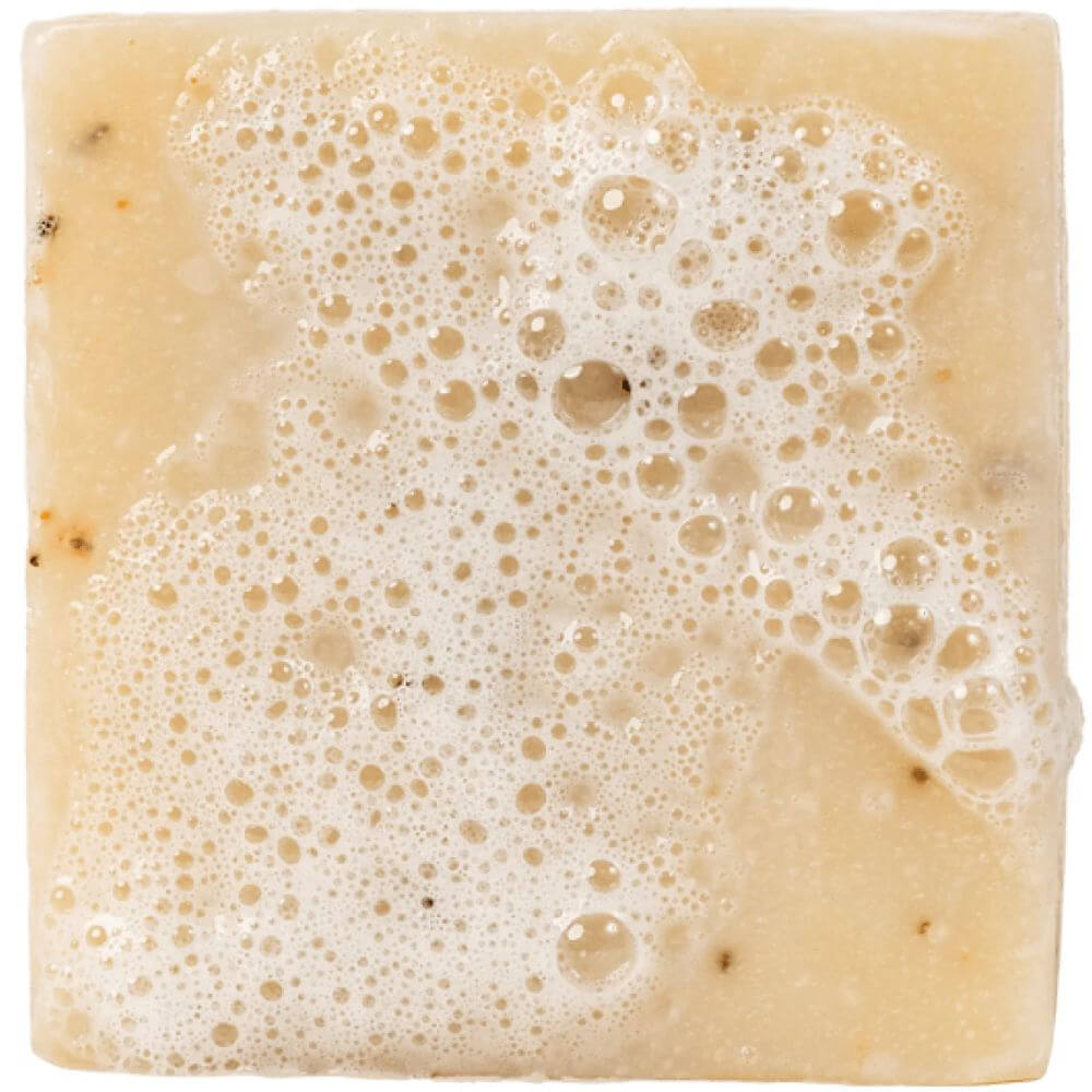 Cedar Citris Bar Soap