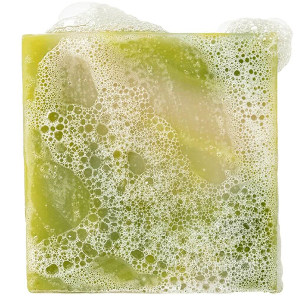 aloe bottle Aloe Vera Jelly Unscented 4 oz
